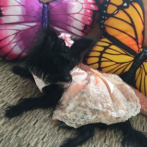 Meet your Posher, Jewel