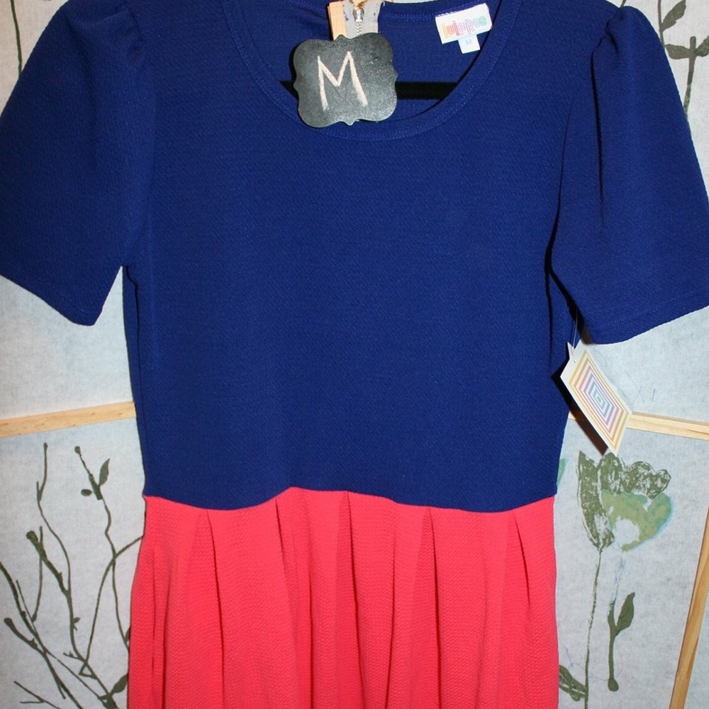 Medium LuLaRoe Amelia Dress