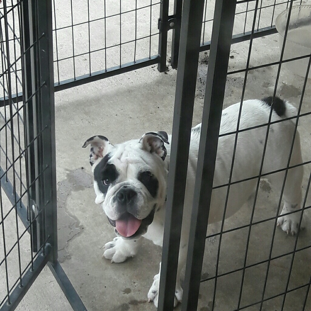 Meet your Posher, Jay