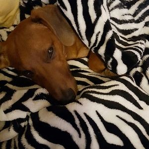 Meet your Posher, Mary