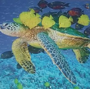 Meet your Posher, Jenifer