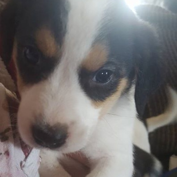 Meet your Posher, Tonya - Picture 1 of 1