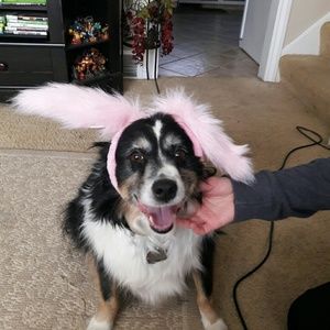 Meet your Posher, Kiki