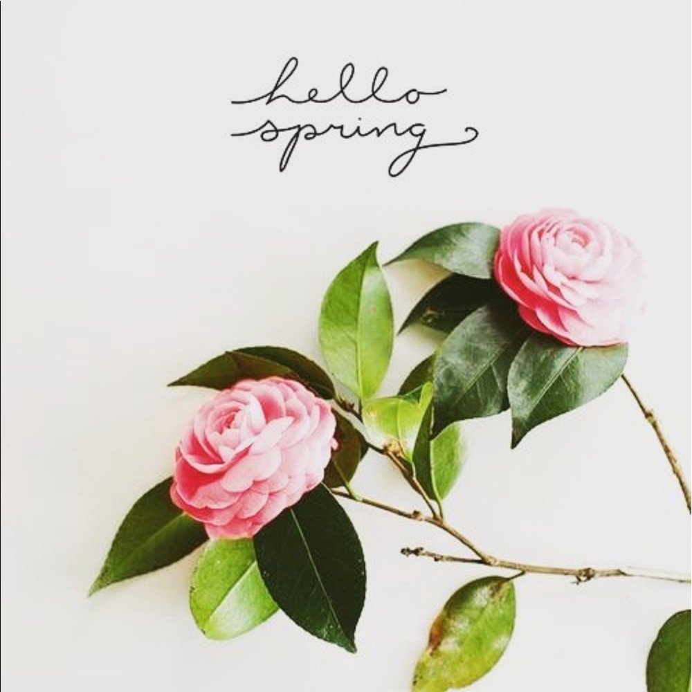 HELLO SPRING & NEW ARRIVALS