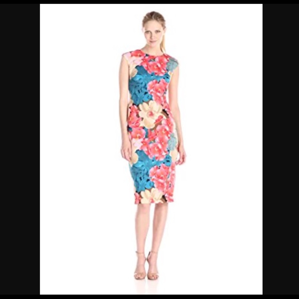 NWT Maggy London Summer Rose Sheath Dress 0