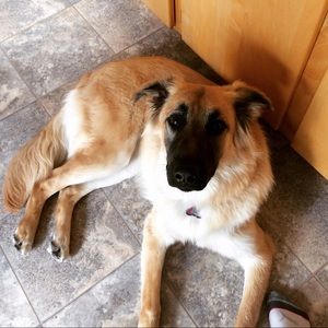 Meet your Posher, Desley