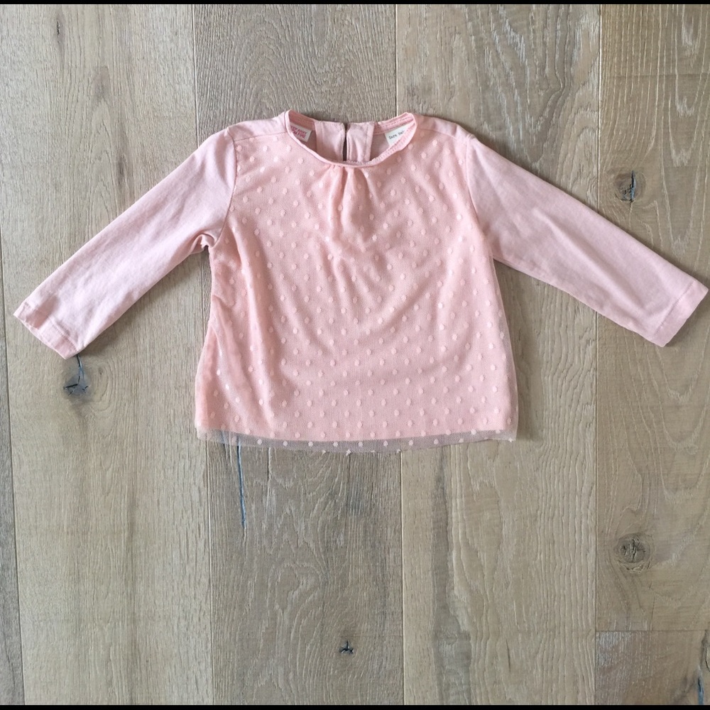 Zara Embroidered Top. NWOT