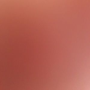 Meet your Posher, Desiree