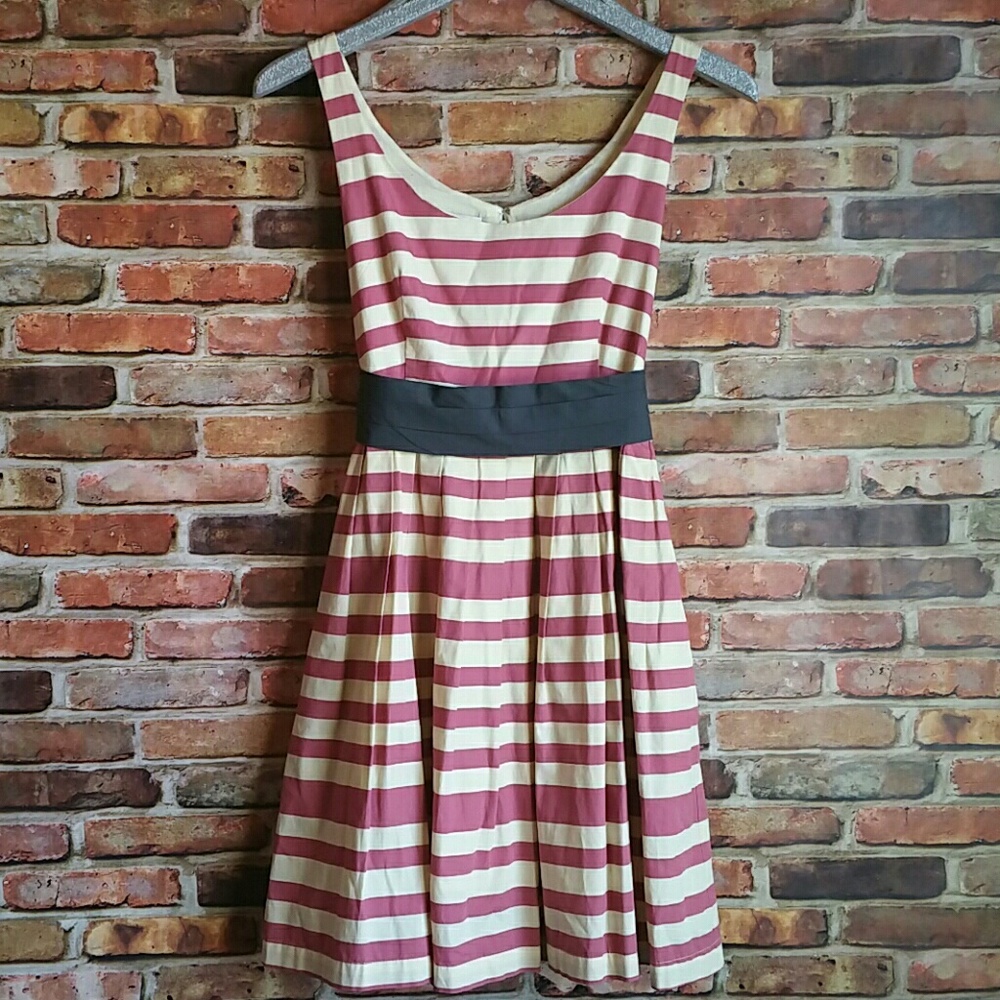 Retro Anthropologie Pink Striped A-line Dress
