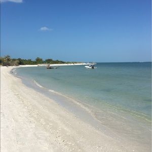 Meet your Posher, Toni