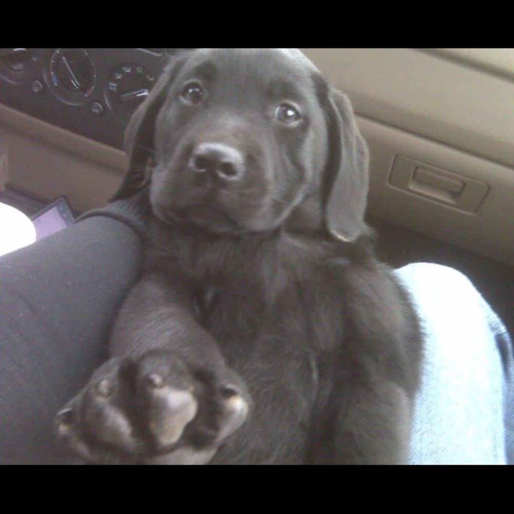 Meet your Posher, Theresa