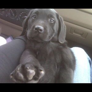 Meet your Posher, Theresa