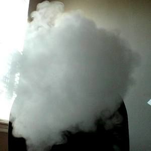 Meet your Posher, Kimba