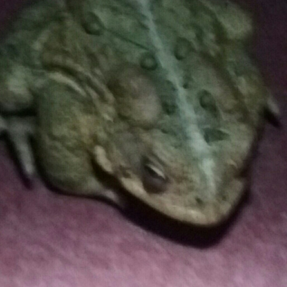 Meet your Posher, Christine