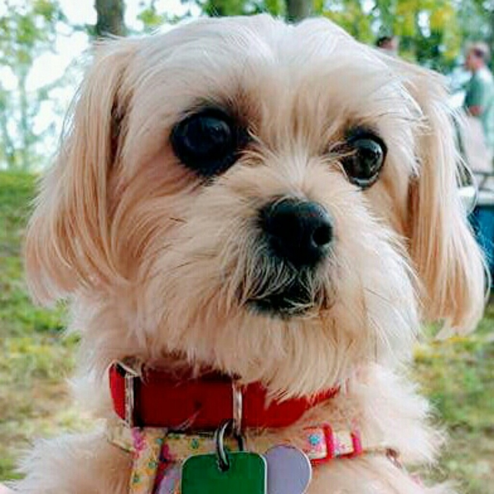 Meet your Posher, Vicki