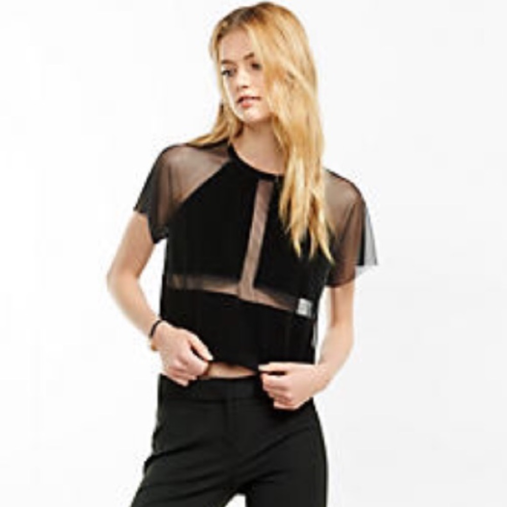 SHEER MESH AND VELVET CROPPED TEE