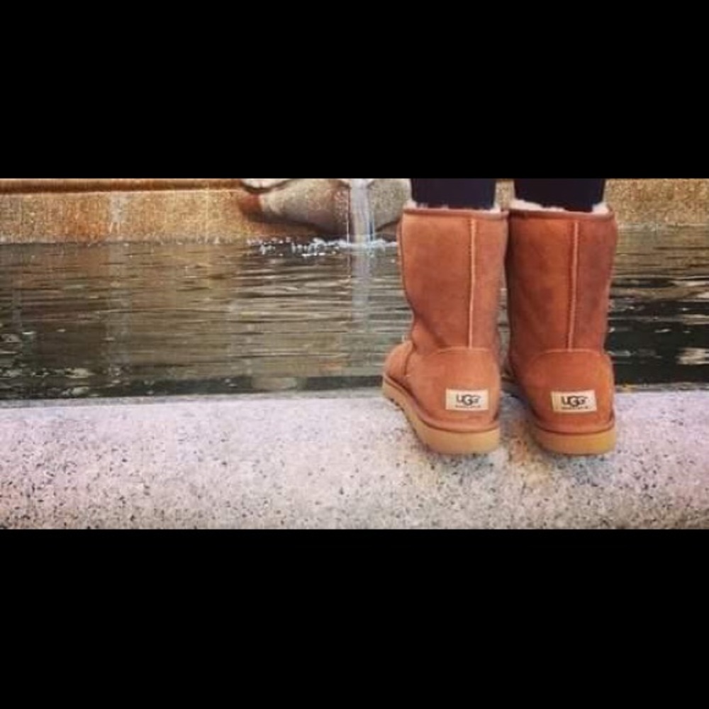Chestnut brown uggs!