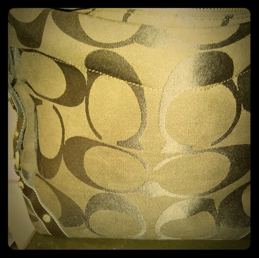 Brown Coach Purse