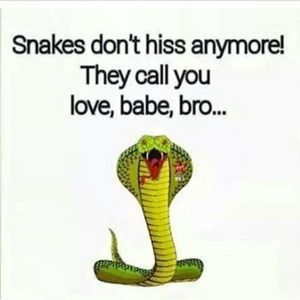 Meet your Posher, Dane