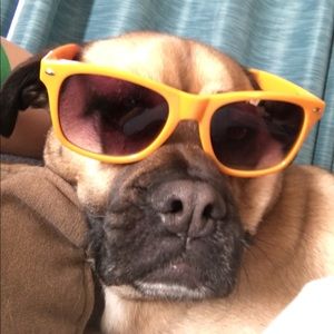 Meet your Posher, Matt