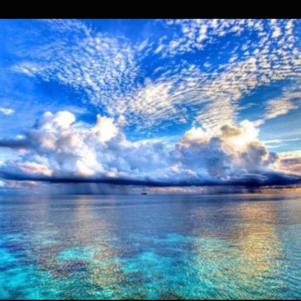 Meet your Posher, M.