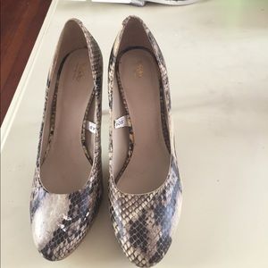 Faux Snake skin Heals