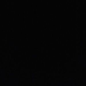 Meet your Posher, Joey