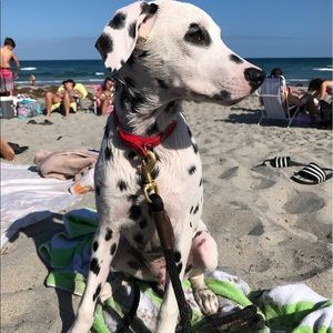 Meet your Posher, Kenny