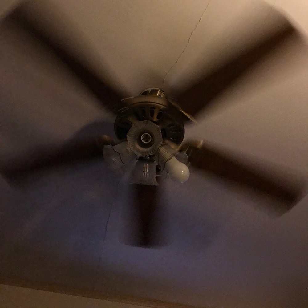 Meet your Posher, Shelby