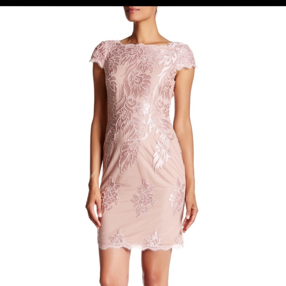 Adrianna Papell Blush embroidered mesh dress