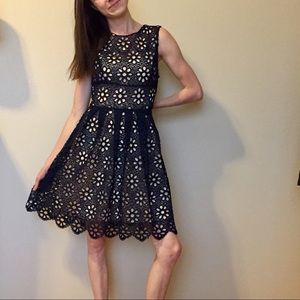 Pink Sophie- Dress- Navy Lace