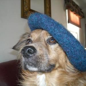 Meet your Posher, Karen