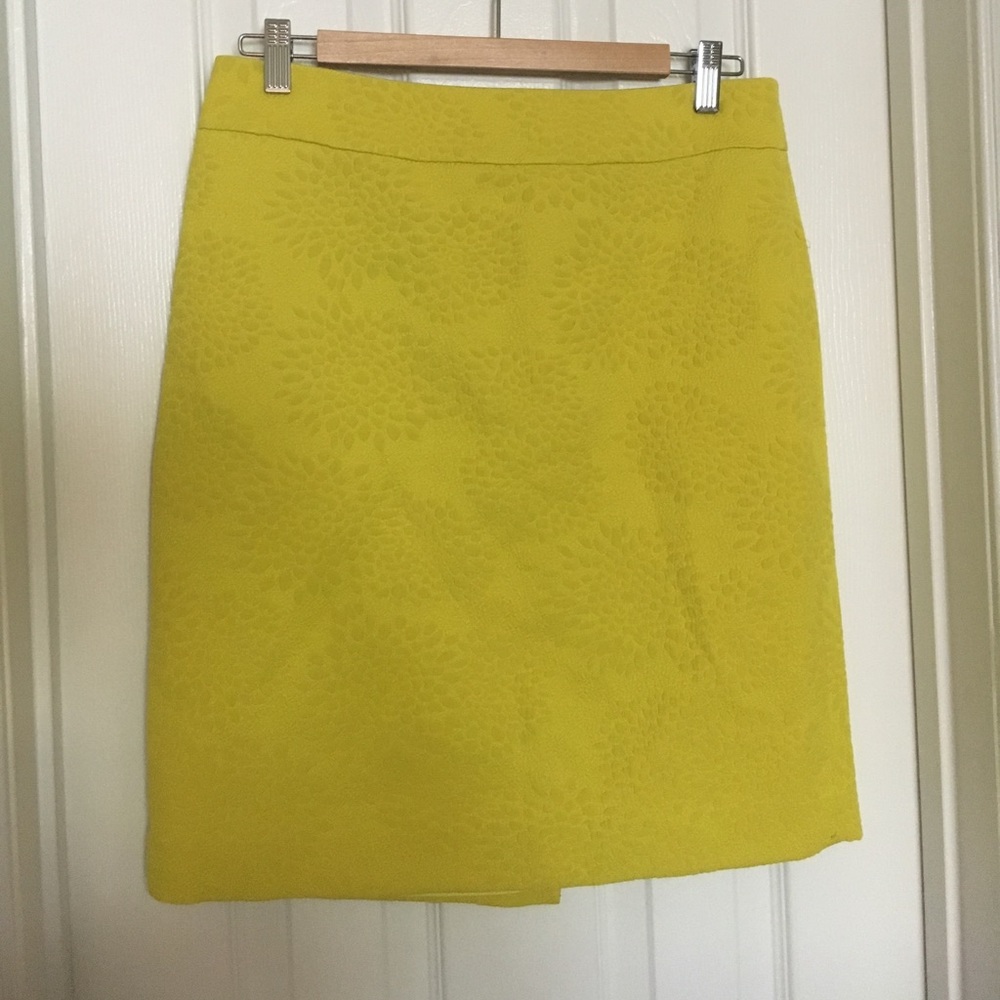 Banana Republic Skirt