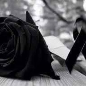 Meet your Posher, Araceli