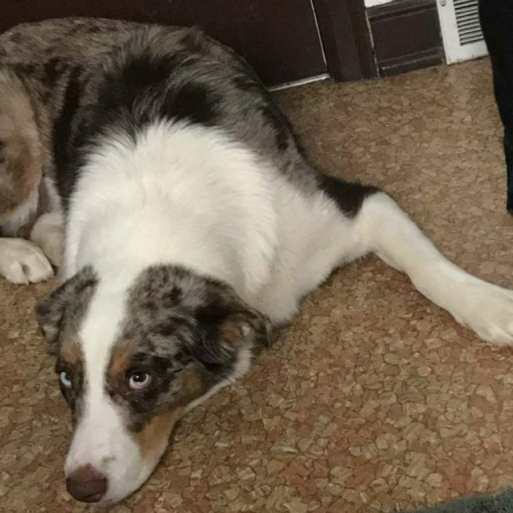 Meet your Posher, Ashly