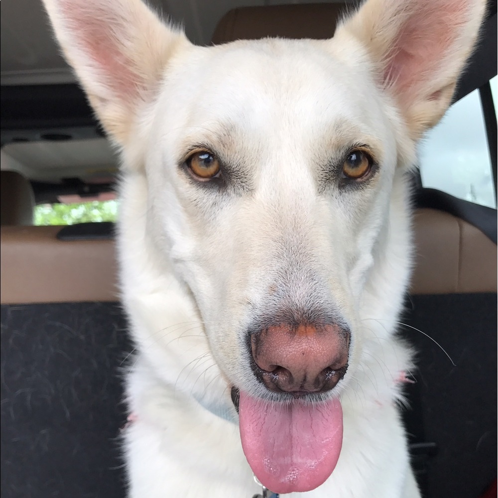 Meet your Posher, Kyle