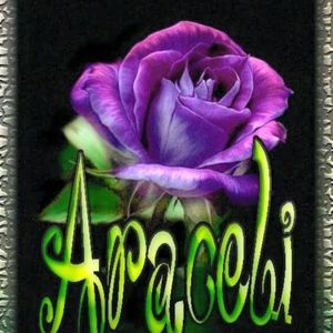 Meet your Posher, Araceli