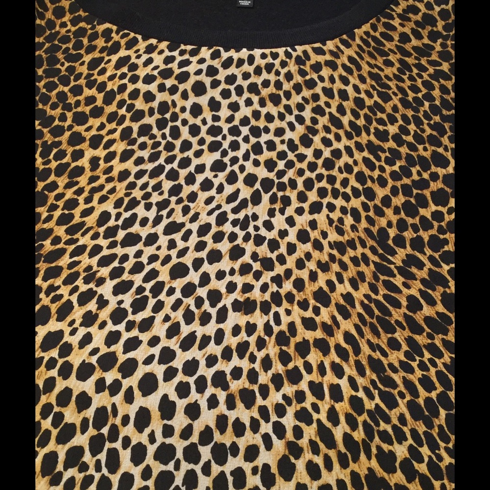 Jones of New York Cat Print 🐾🐾🐾🐾