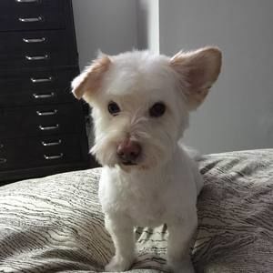 Meet your Posher, Judy