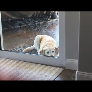 Meet your Posher, Rita