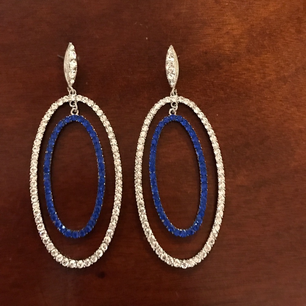 Blue and silver rhinestone earrings.