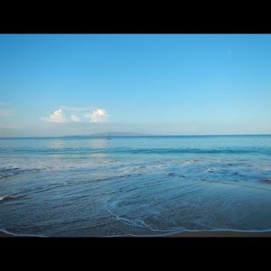 Meet your Posher, Jacqueline