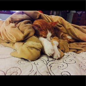 Meet your Posher, Lisa