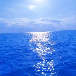 Meet your Posher, Pamela