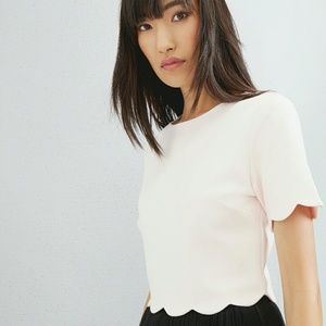 Ted Baker SIPPAH scallop tim cropped top in pink