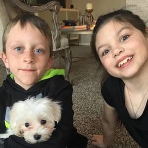 Meet your Posher, Alexandra