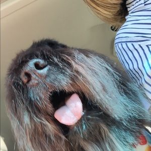 Meet your Posher, Donna