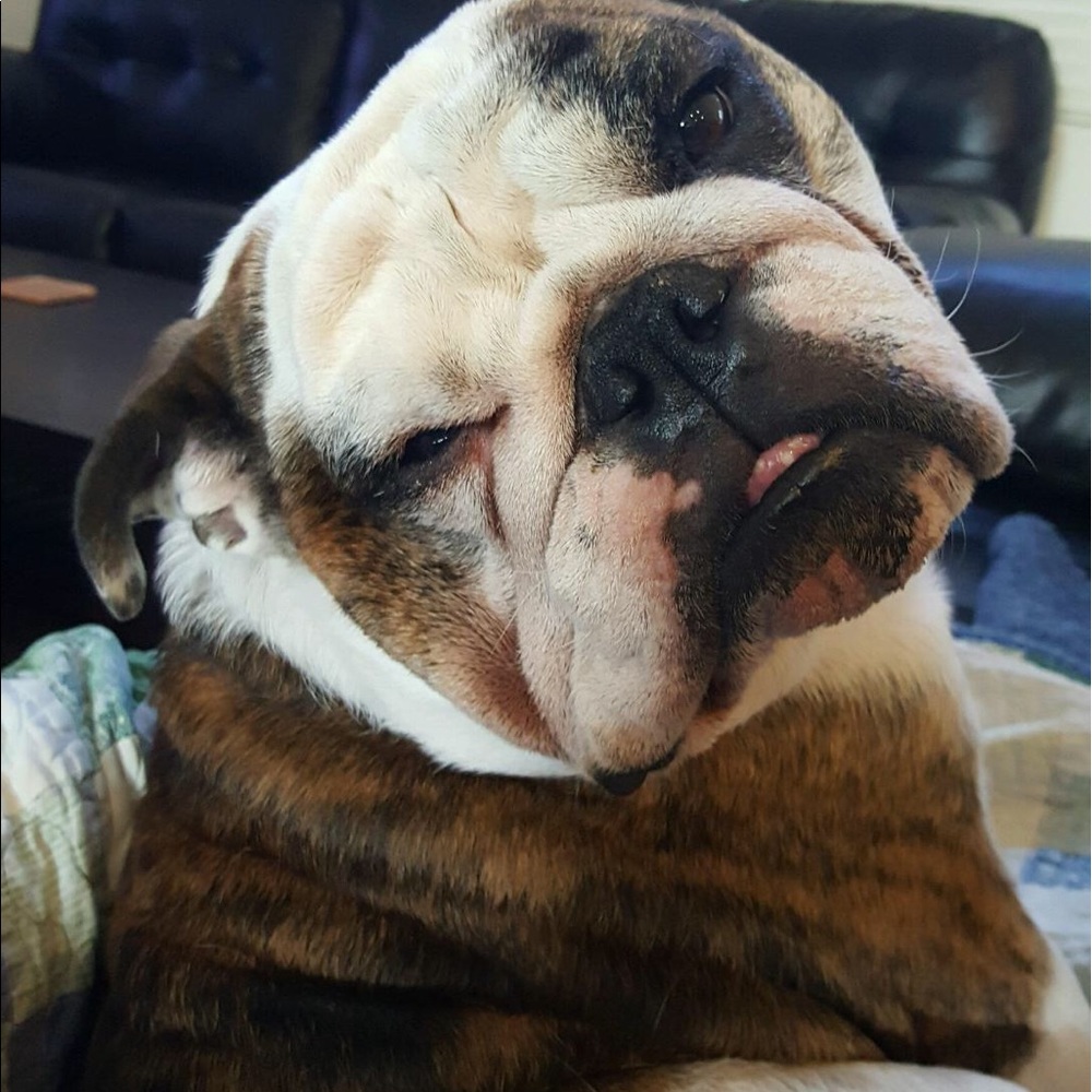 Meet your Posher, Leigh