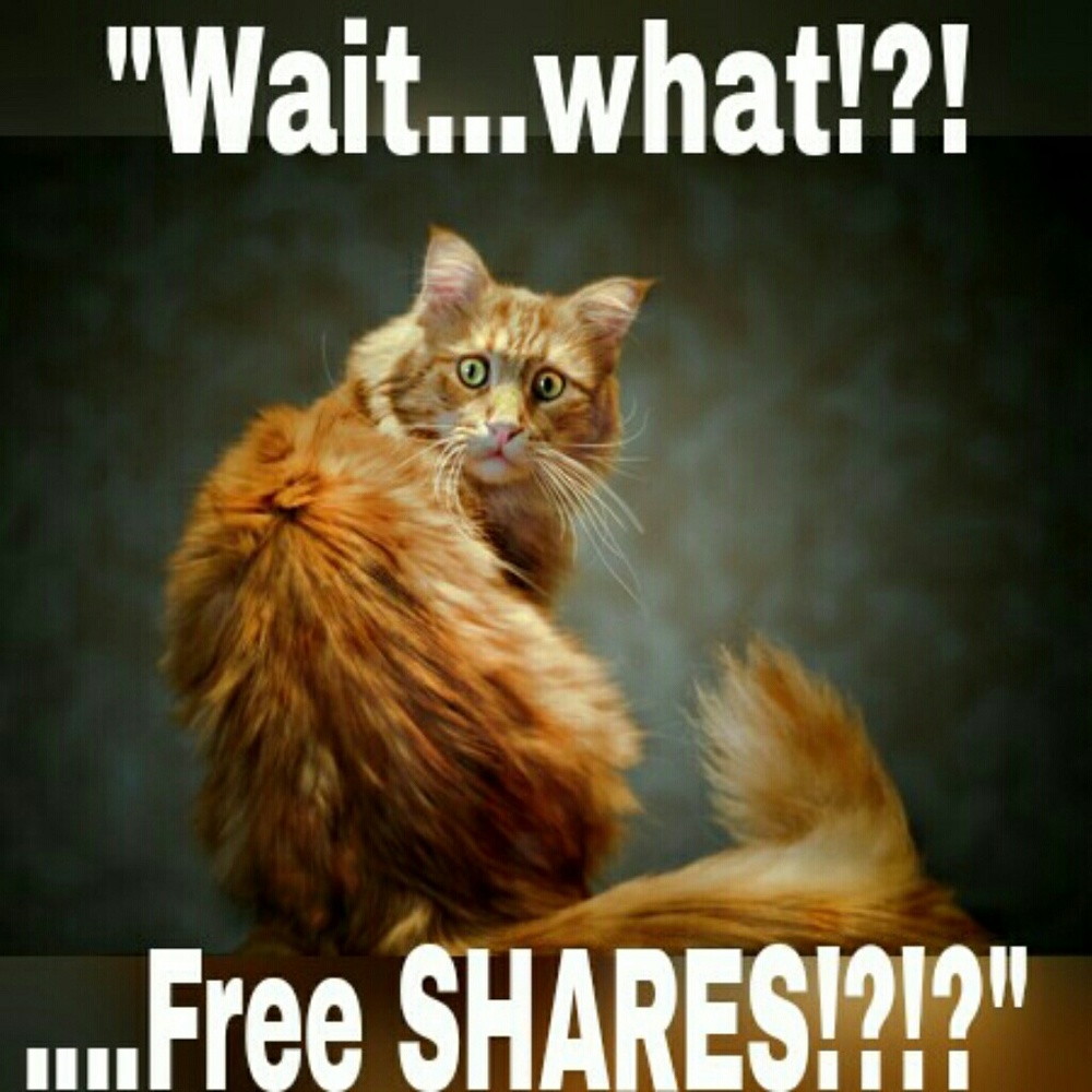 FACEBOOK SHARE GROUP - Picture 3 of 6
