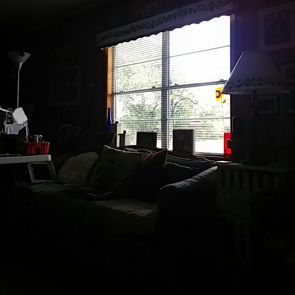 Meet your Posher, Fred